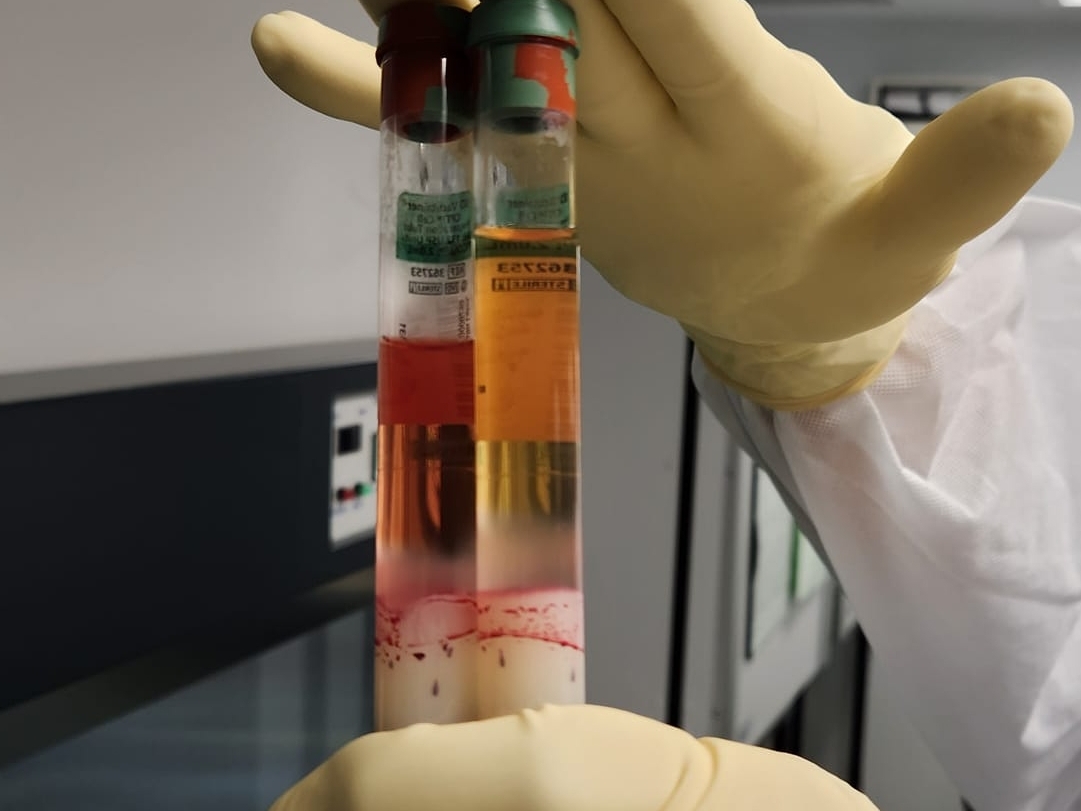 Lab progress.jpg